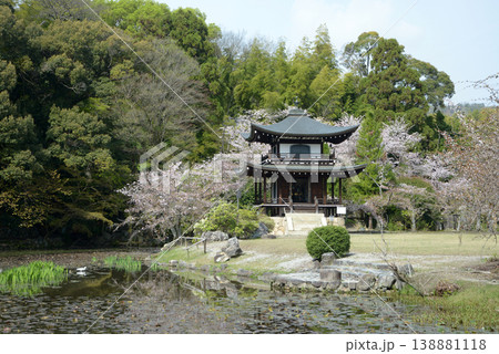 春の観修寺 観音堂 京都市山科区勧修寺仁王堂町 春の観修寺 観音堂 京都市山科区勧修寺仁王堂町 138881118