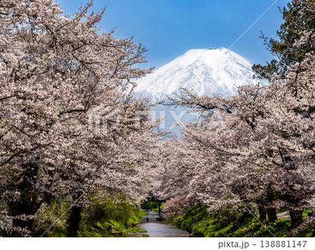 桜のある風景 忍野村 新名庄川の桜 桜のある風景 忍野村 新名庄川の桜 138881147