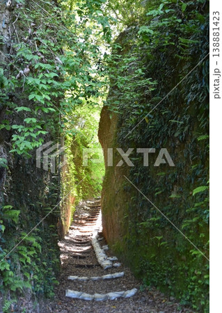 清色城跡の堀切が特徴的な山城跡の歴史景観 138881423