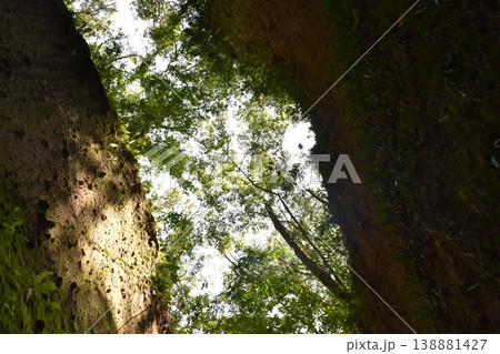 清色城跡の堀切が特徴的な山城跡の歴史景観 138881427