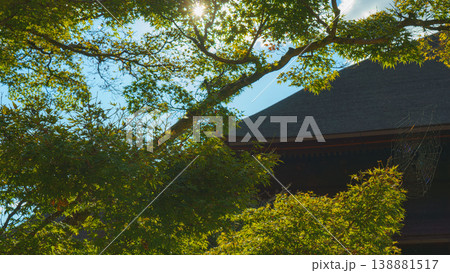 Kyoto, Japan - Oct 11 2025, Panoramic view of Japanese maple leaves and a large spider web, Kiyomizu-dera Temple in the background, at daytime, Kyoto, Japan 138881517