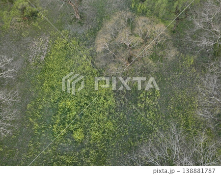 四万十川下流 入田 菜の花と河川 快晴空撮映像 四万十川下流 入田 菜の花と河川 快晴空撮映像 138881787