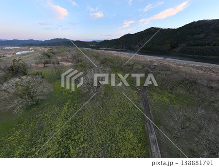 四万十川下流 入田 菜の花と河川 快晴空撮映像 四万十川下流 入田 菜の花と河川 快晴空撮映像 138881791
