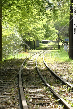 名鉄三河線廃線跡風景 旧三河広瀬駅の青もみじ 138882003