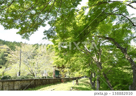 名鉄三河線廃線跡風景 旧三河広瀬駅の青もみじ 名鉄三河線廃線跡風景 旧三河広瀬駅の青もみじ 138882010