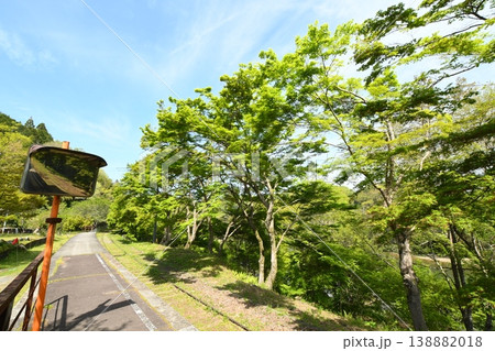 名鉄三河線廃線跡風景 旧三河広瀬駅の青もみじ 名鉄三河線廃線跡風景 旧三河広瀬駅の青もみじ 138882018