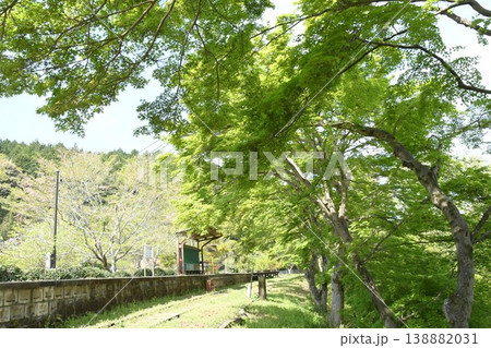 名鉄三河線廃線跡風景 旧三河広瀬駅の青もみじ 138882031