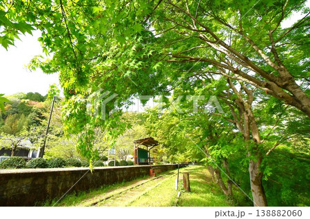 名鉄三河線廃線跡風景 旧三河広瀬駅の青もみじ 138882060