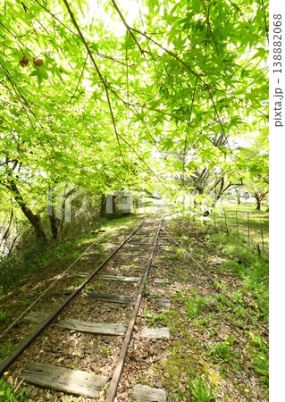 名鉄三河線廃線跡風景 旧三河広瀬駅の青もみじ 名鉄三河線廃線跡風景 旧三河広瀬駅の青もみじ 138882068