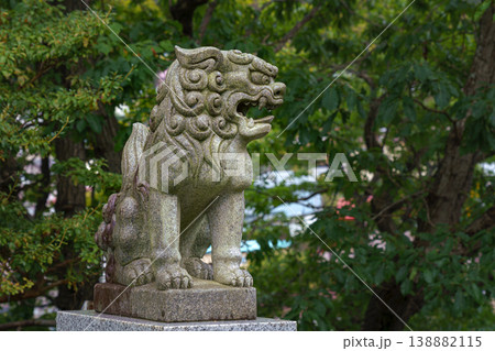 Muroran, Hokkaido, Japan - Oct 04 2024, Close up view of the overgrown stone lion statue adorning the entrance to the Shinto temple, with trees on blurred background, at daytime, Muroran, Japan Muroran, Hokkaido, Japan - Oct 04 2024, Close up view of the overgrown stone lion statue adorning the entrance to the Shinto temple, with trees on blurred background, at daytime, Muroran, Japan 138882115