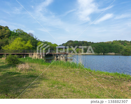 21世紀の森と広場の風景 21世紀の森と広場の風景 138882307