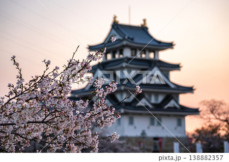 桜に彩られた春の墨俣一夜城 2026 桜に彩られた春の墨俣一夜城 2026 138882357