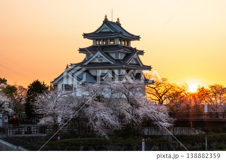 桜に彩られた春の墨俣一夜城 2026 138882359
