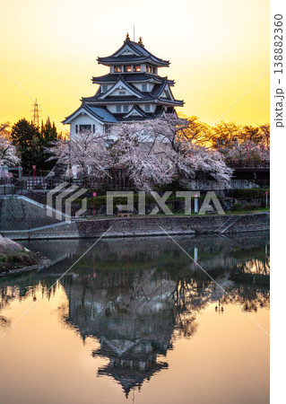 桜に彩られた春の墨俣一夜城 2026 138882360