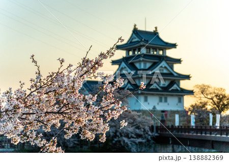 桜に彩られた春の墨俣一夜城 2026 138882369