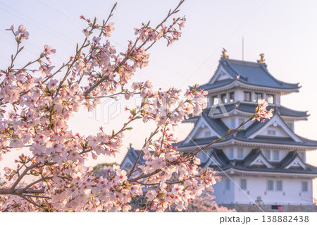 桜に彩られた春の墨俣一夜城 2026 138882438