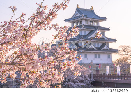 桜に彩られた春の墨俣一夜城 2026 138882439