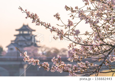 桜に彩られた春の墨俣一夜城 2026 桜に彩られた春の墨俣一夜城 2026 138882443
