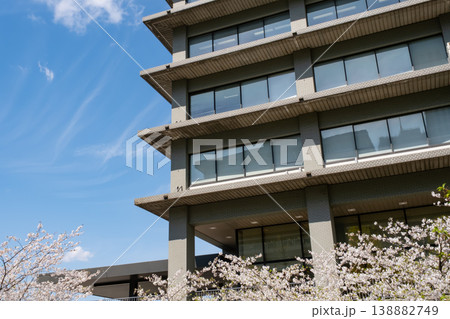 満開の桜とビルの都市風景 満開の桜とビルの都市風景 138882749