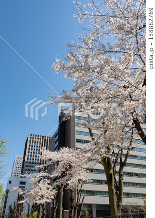 満開の桜とビルの都市風景 138882769