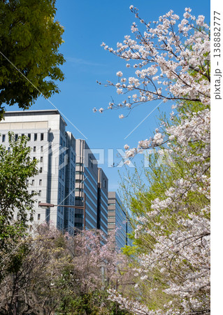 満開の桜とビルの都市風景 138882777