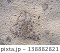 骨材が露出したコンクリートの粗いテクスチャ背景（砂地・劣化・抽象） 138882821