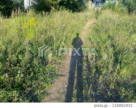 Walking on a path through tall grass with a long shadow in the afternoon sunlight Walking on a path through tall grass with a long shadow in the afternoon sunlight 138882932