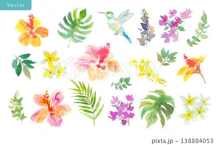 水彩で描いた抽象的なハイビスカス、モンステラ、ハチドリ、南国の草花のベクターイラストセット 水彩で描いた抽象的なハイビスカス、モンステラ、ハチドリ、南国の草花のベクターイラストセット 138884053