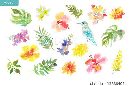 水彩で描いた抽象的なハイビスカス、モンステラ、ハチドリ、南国の草花のベクターイラストセット 138884054