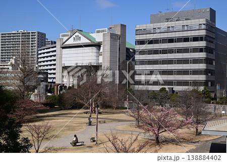 早春の都川公園　千葉市中央区 138884402