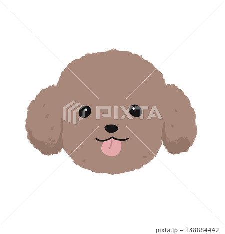 トイプードルの顔のイラスト 138884442