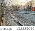 妙法寺川公園の桜（神戸市 須磨区） 138885059