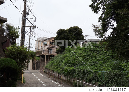 木漏れ日がわずかに差し込む、薄暗い公園の深い緑3 138885417