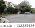 静寂に包まれた薄暗い森のような公園の緑10 138885426