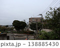 木漏れ日がわずかに差し込む、薄暗い公園の深い緑4 138885430