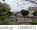 木漏れ日がわずかに差し込む、薄暗い公園の深い緑5 138885431
