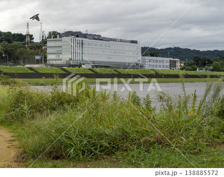 増水した柏原市市役所前の大和川 増水した柏原市市役所前の大和川 138885572