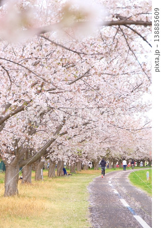 稲城市北緑地公園の桜 138885609