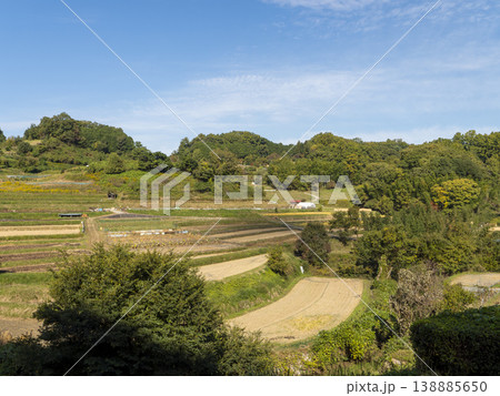 秋晴れの明日香村稲渕棚田の風景 138885650