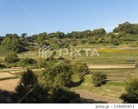 秋晴れの明日香村稲渕棚田の風景 秋晴れの明日香村稲渕棚田の風景 138885651