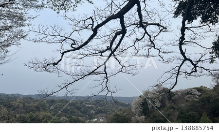 春の鎌倉の山並み風景、桜が咲く春かすみの風景 春の鎌倉の山並み風景、桜が咲く春かすみの風景 138885754