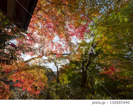 奈良県宇陀市　室生寺の紅葉 138885940