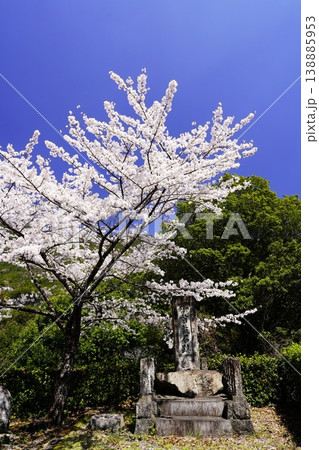 満開の桜と青い空 奈良 川上村 自天王首載石 満開の桜と青い空 奈良 川上村 自天王首載石 138885953