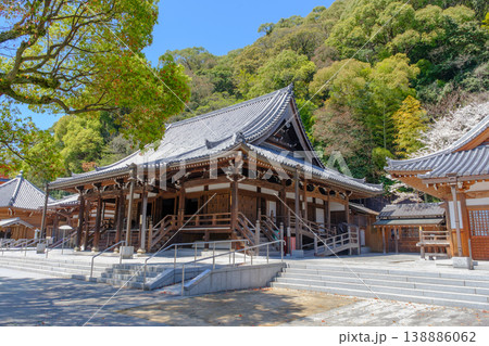 神戸・須磨寺・本堂と桜 138886062