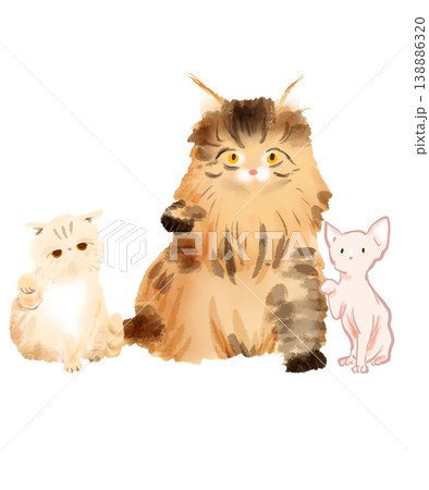 招き猫のシンプルなイラスト 招き猫のシンプルなイラスト 138886320