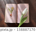 チューリップとアンティークな洋書 138887170