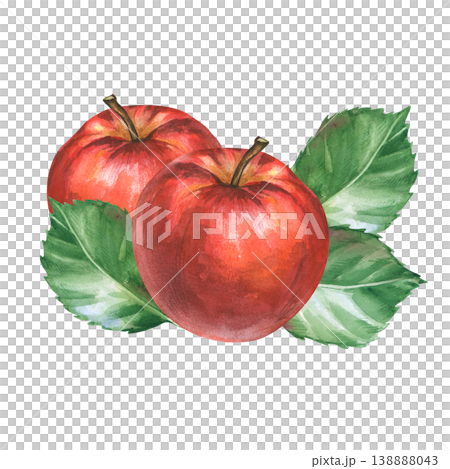 Watercolor illustration of two red apples with green leaves isolated on white background. Watercolor illustration of two red apples with green leaves isolated on white background. 138888043