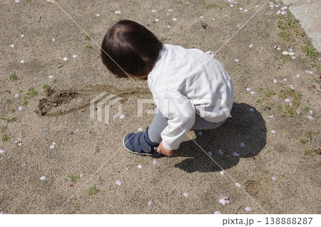 桜の花びらが落ちた公園の地面の砂に落書きして遊ぶ男の子 138888287