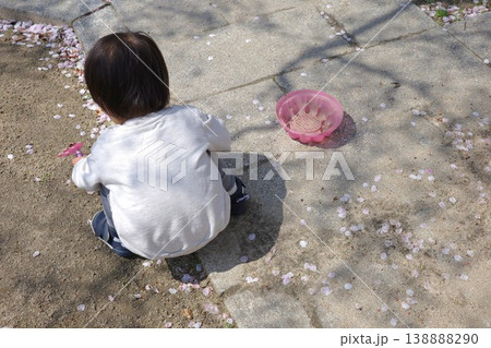 桜の花びらが落ちた公園でおもちゃを使い遊ぶ子供の後ろ姿 桜の花びらが落ちた公園でおもちゃを使い遊ぶ子供の後ろ姿 138888290