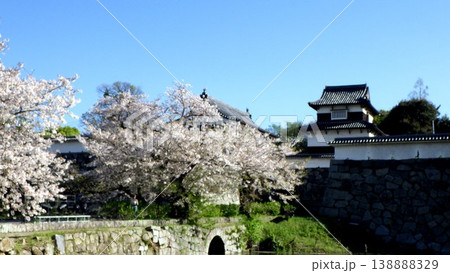 お城の櫓と満開の桜 138888329
